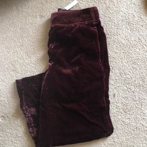 Madewell velvet crop pants